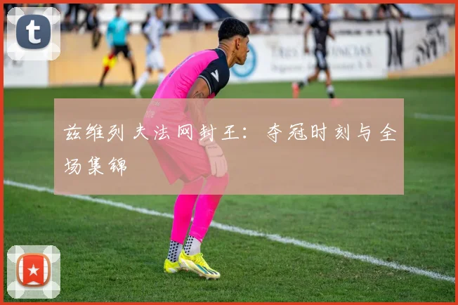 兹维列夫法网封王：夺冠时刻与全场集锦